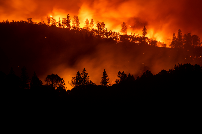 Illustration for article titled Camp Fire ya es el incendio más mortal en la historia de California, y los números pueden crecer todavía más